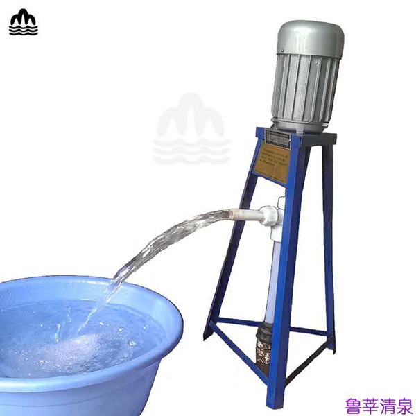 軟軸泵批發廠家